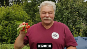 Werner Dive Ballermann Ein umfassender Einblick in Phänomen Persona und Partykultur